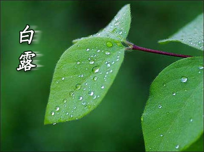 露從今夜白，月是故鄉(xiāng)明